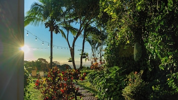 Un jardín con palmeras, un sendero y luces colgantes.