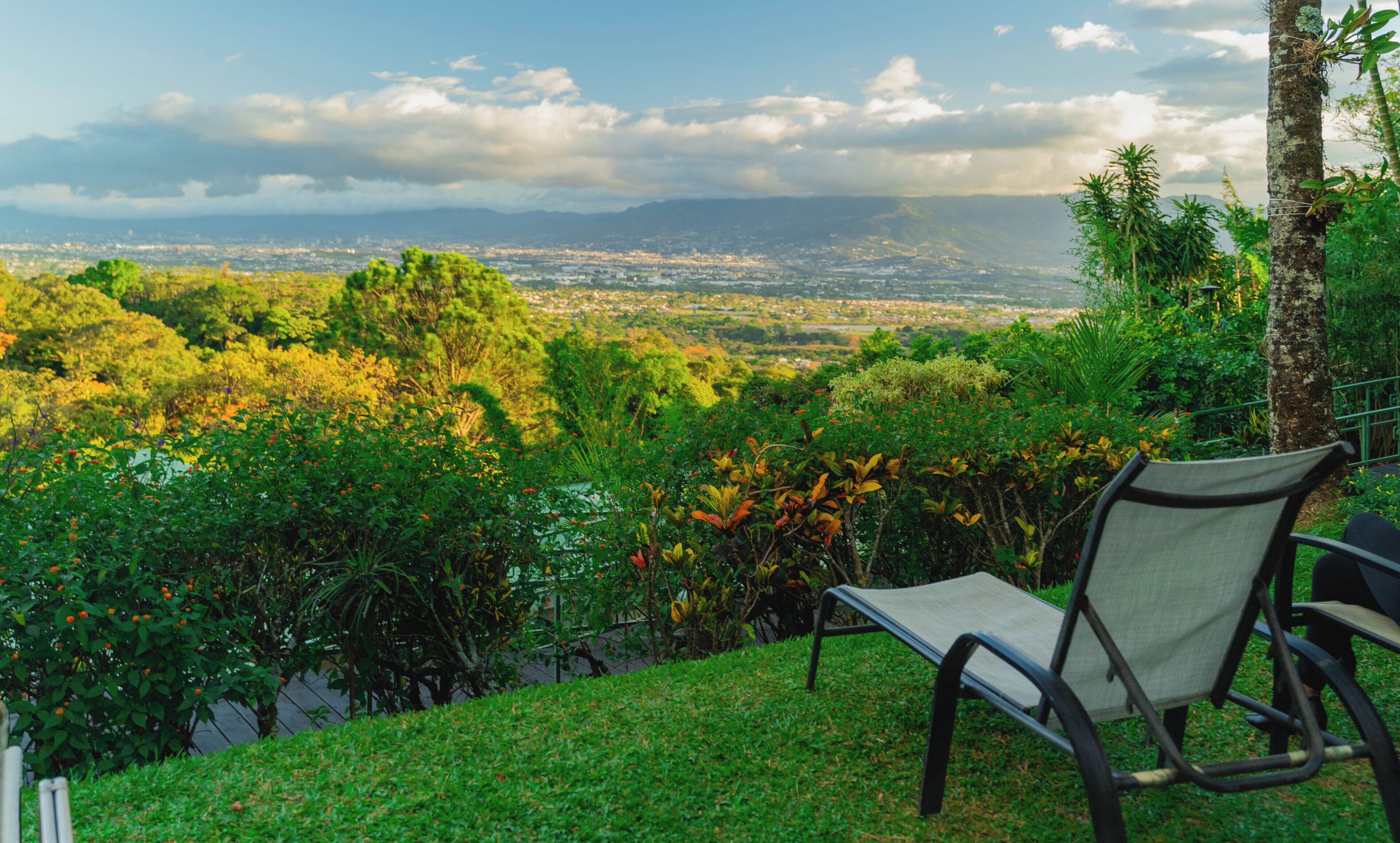 A chair overlooking a cityscape with lush greenery.