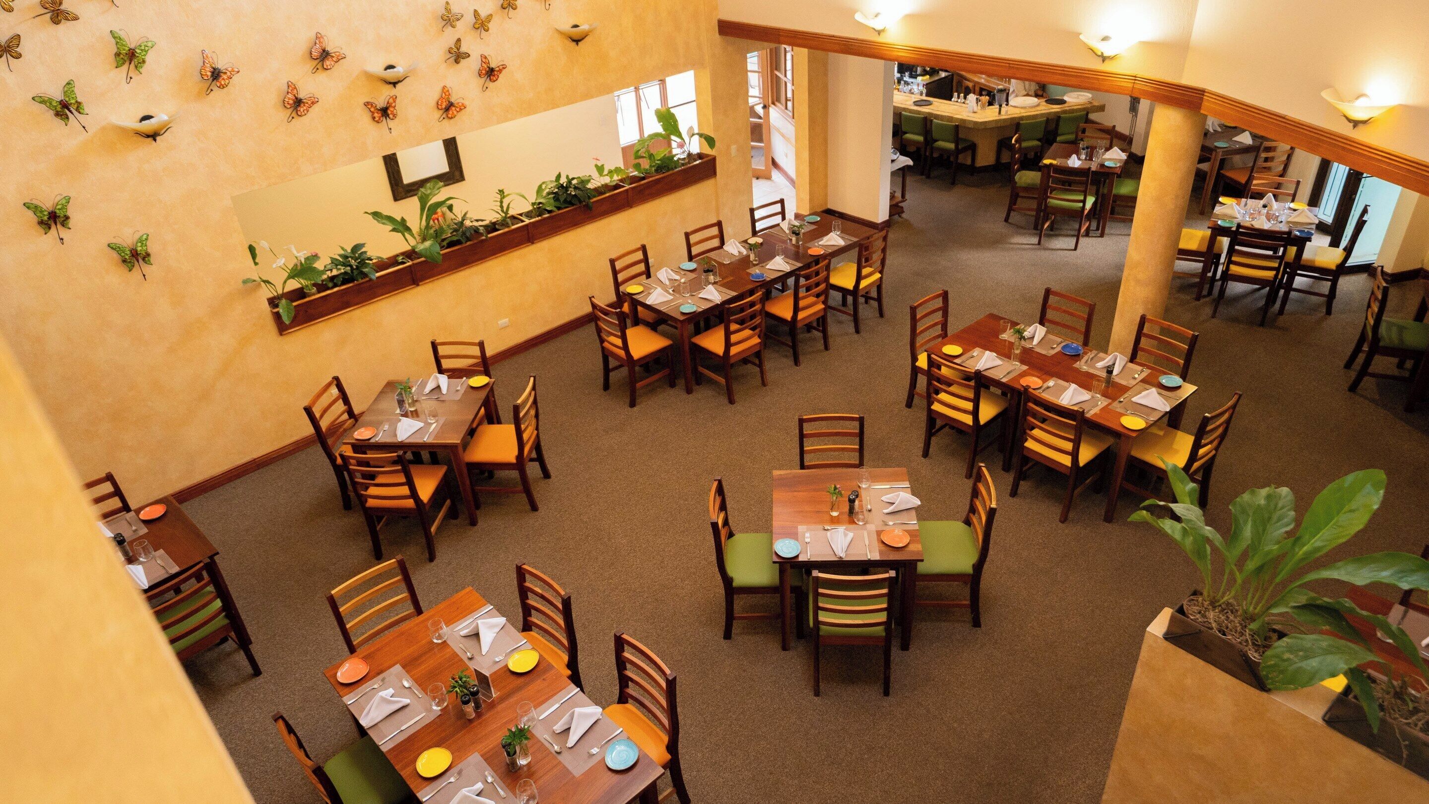 lunch and dinner served