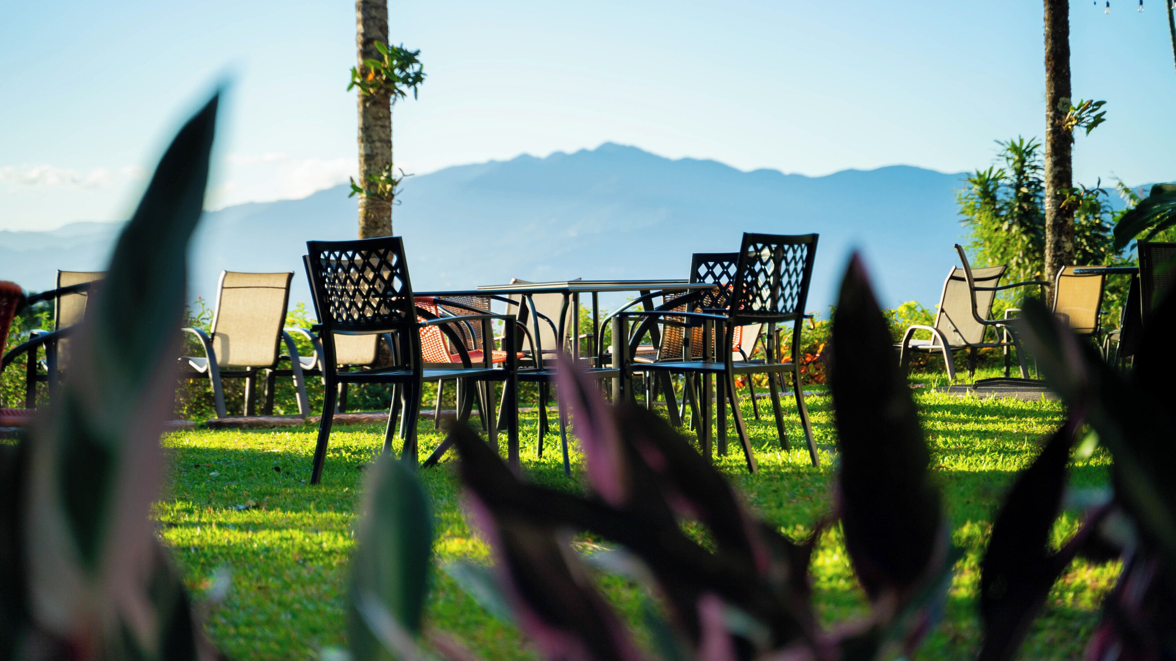 Een terras met stoelen en tafels, omringd door gras en palmbomen, met een uitzicht op de bergen.