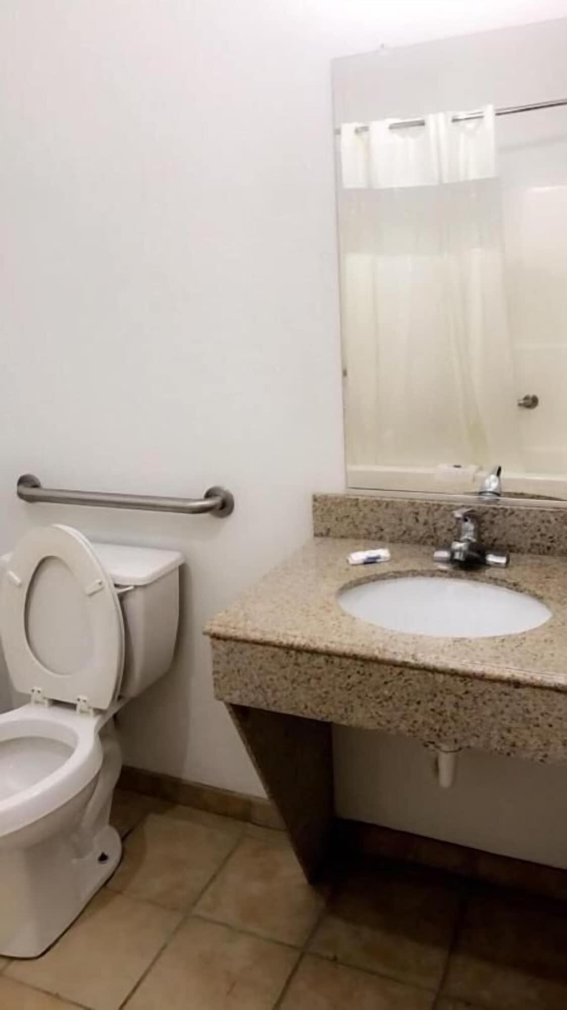 A bathroom with a toilet, sink, and handrail.
