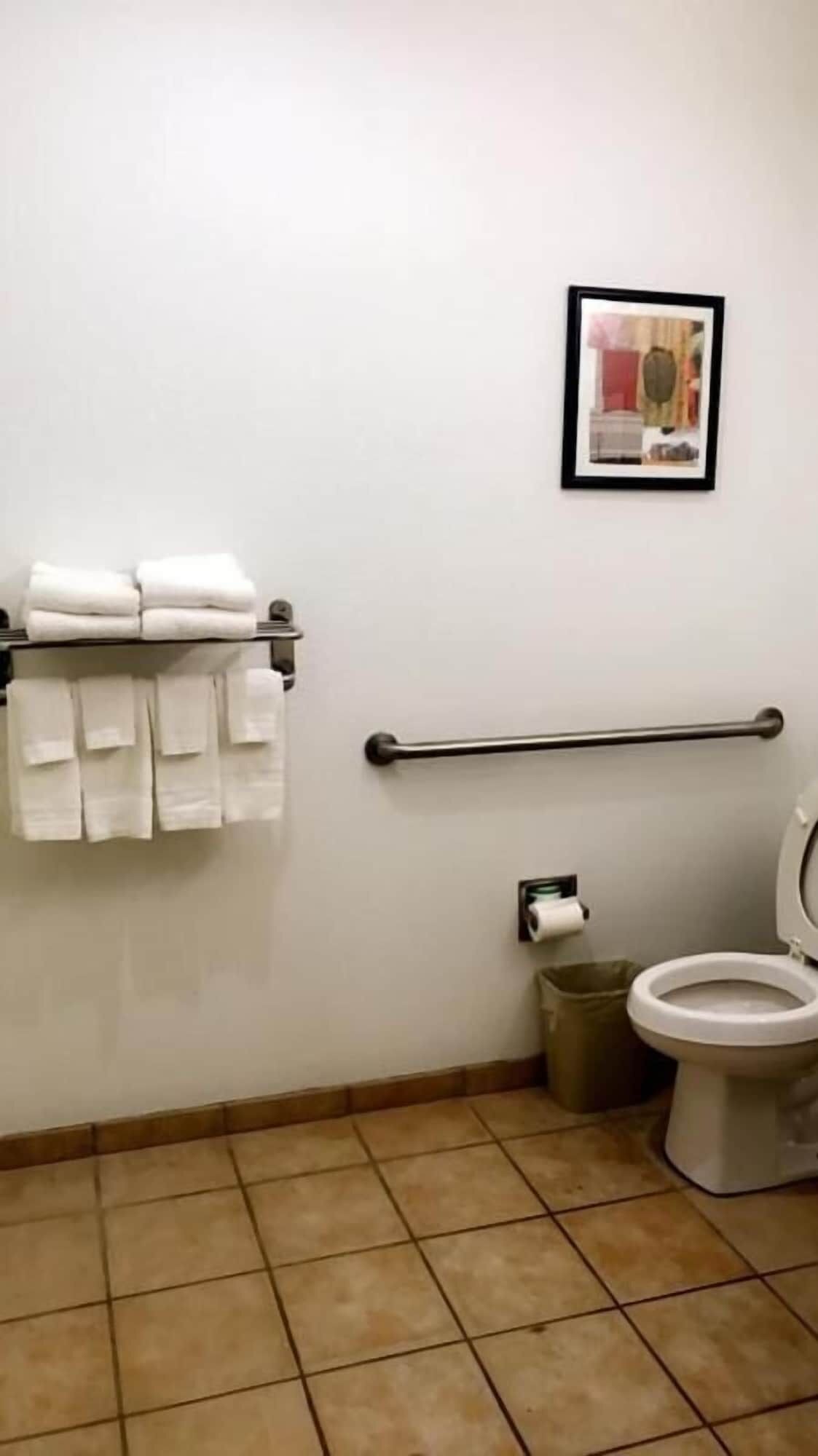 Une salle de bain équipée de toilettes, d’une barre d’appui, d’un porte-serviettes avec des serviettes pliées, d’une poubelle et d’un tableau encadré au mur.