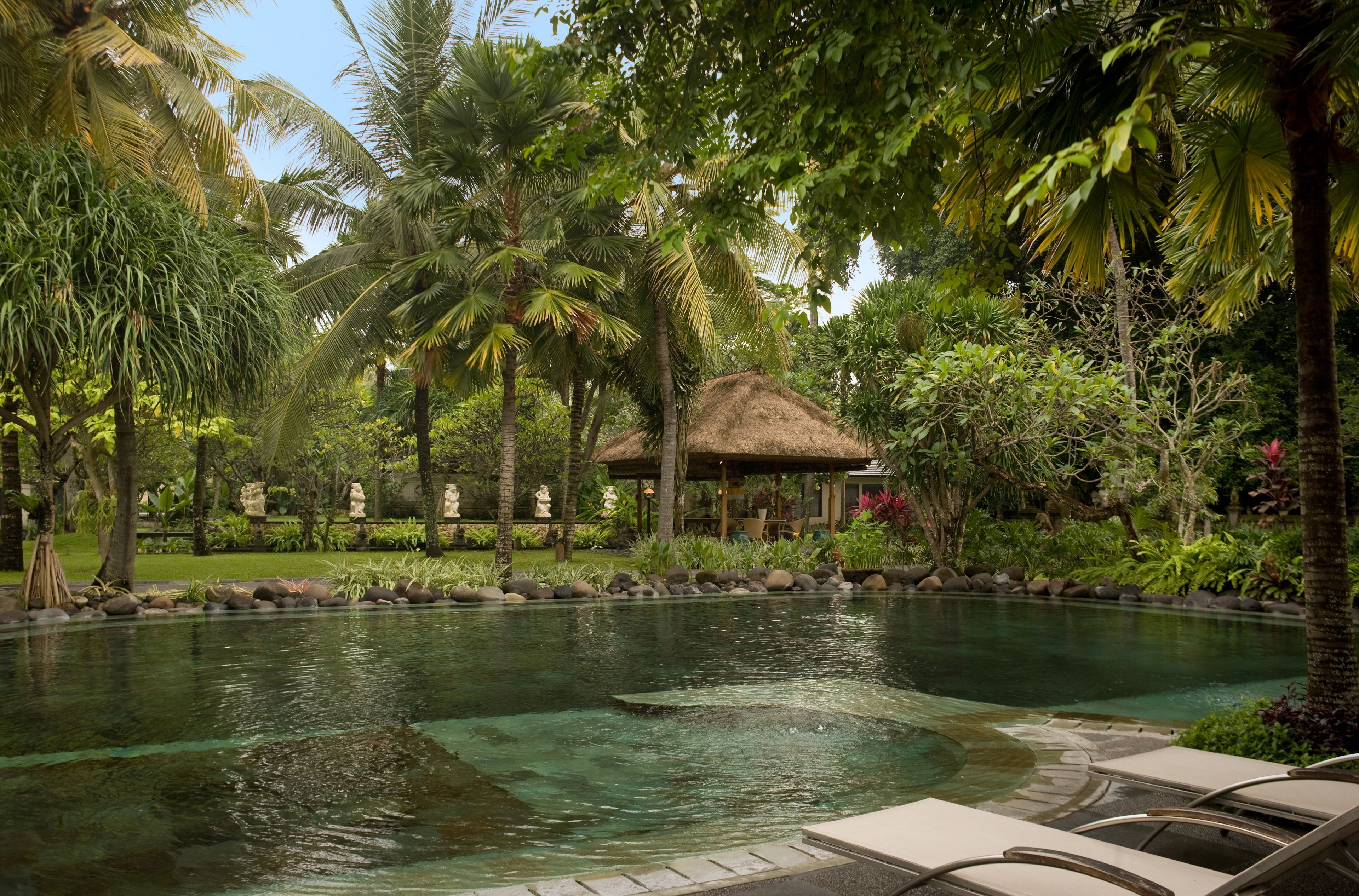 A tranquil pool area with lounge chairs, surrounded by lush greenery and palm trees.