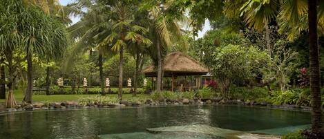 A tranquil pool area with lounge chairs, surrounded by lush greenery and palm trees.