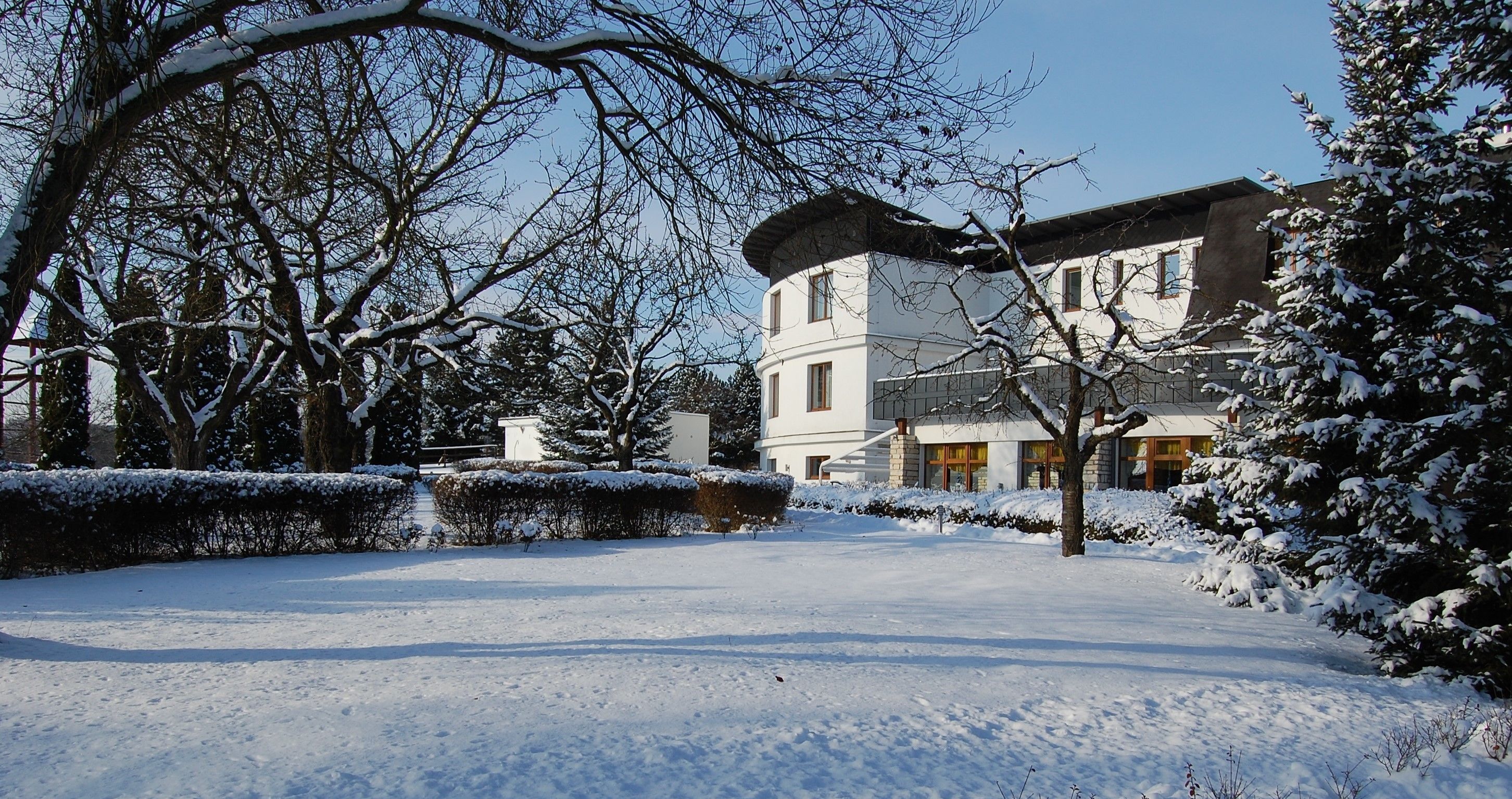 A snow-covered landscape with a building featuring a modern design, a paved driveway, and snow-covered trees.