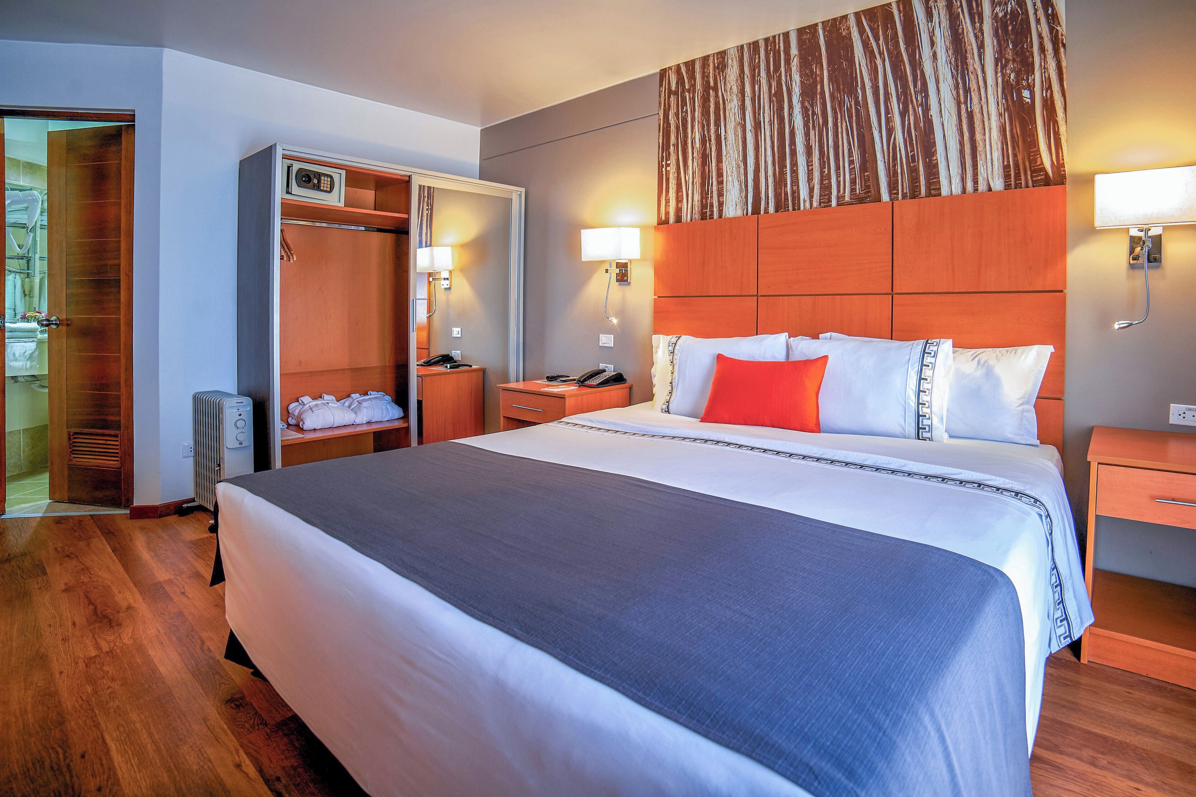 Superior Room, 1 King Bed | Minibar, blackout drapes, WiFi (free), bed sheets