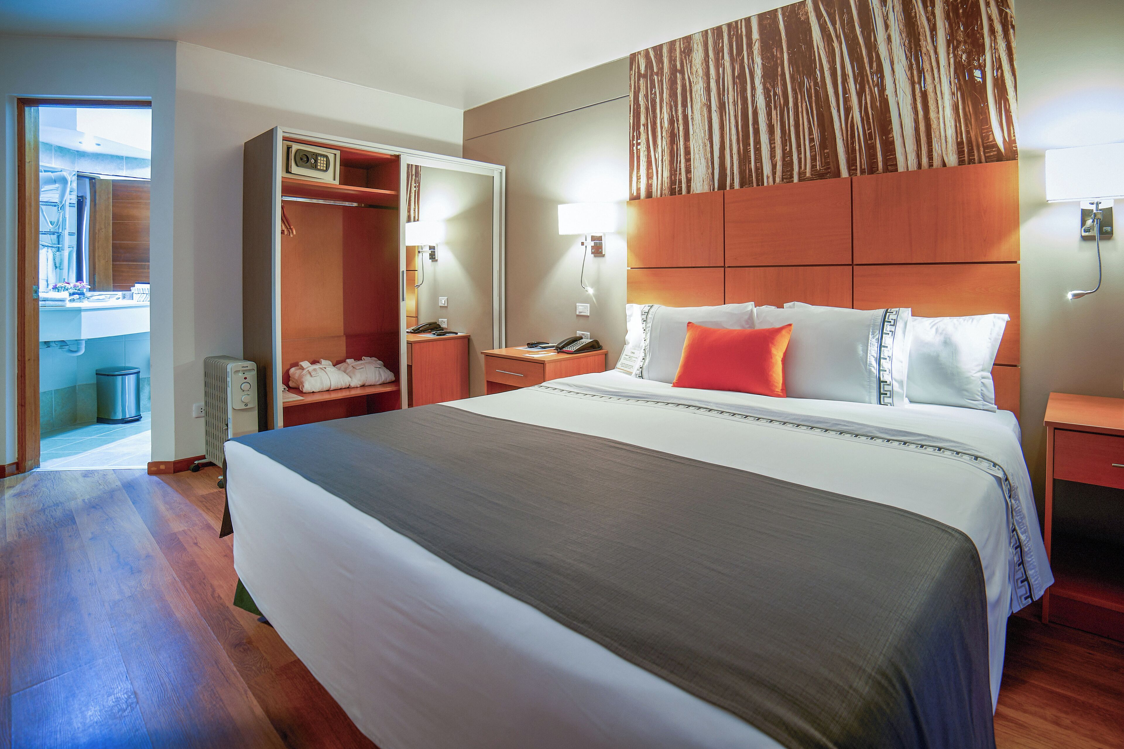 A hotel room with a large bed, a wardrobe, a bedside table, and a nightstand.