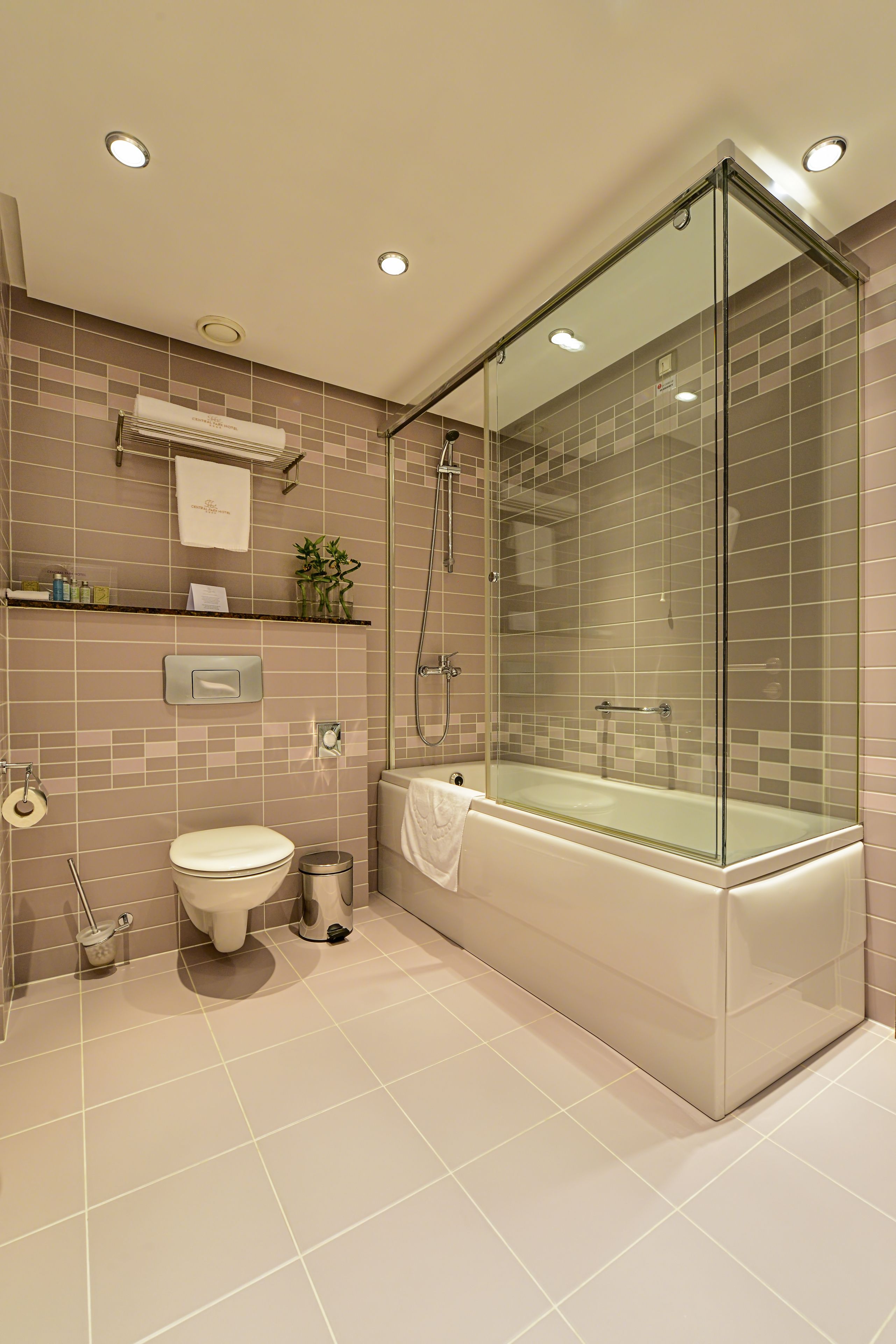 combined shower/bathtub, free toiletries, hair dryer, bathrobes