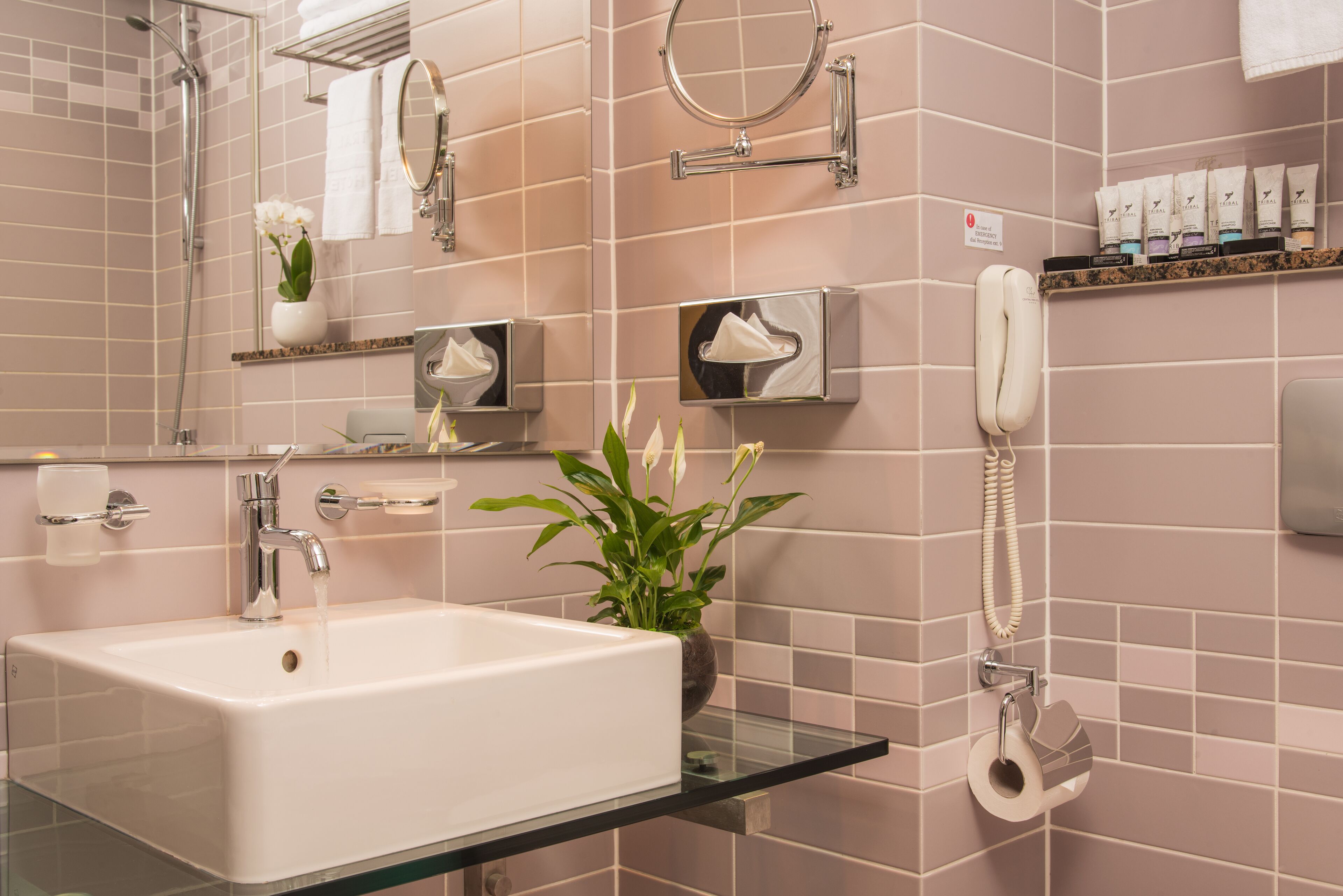 combined shower/bathtub, free toiletries, hair dryer, bathrobes