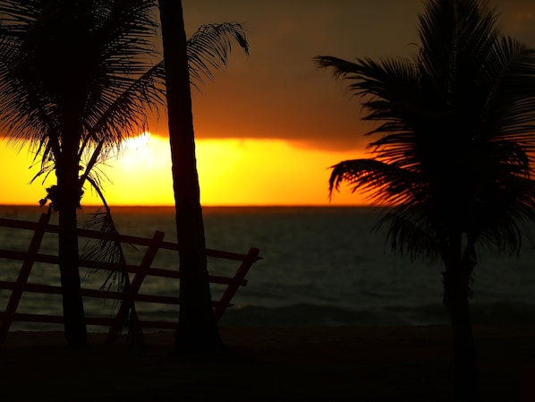 Jardim