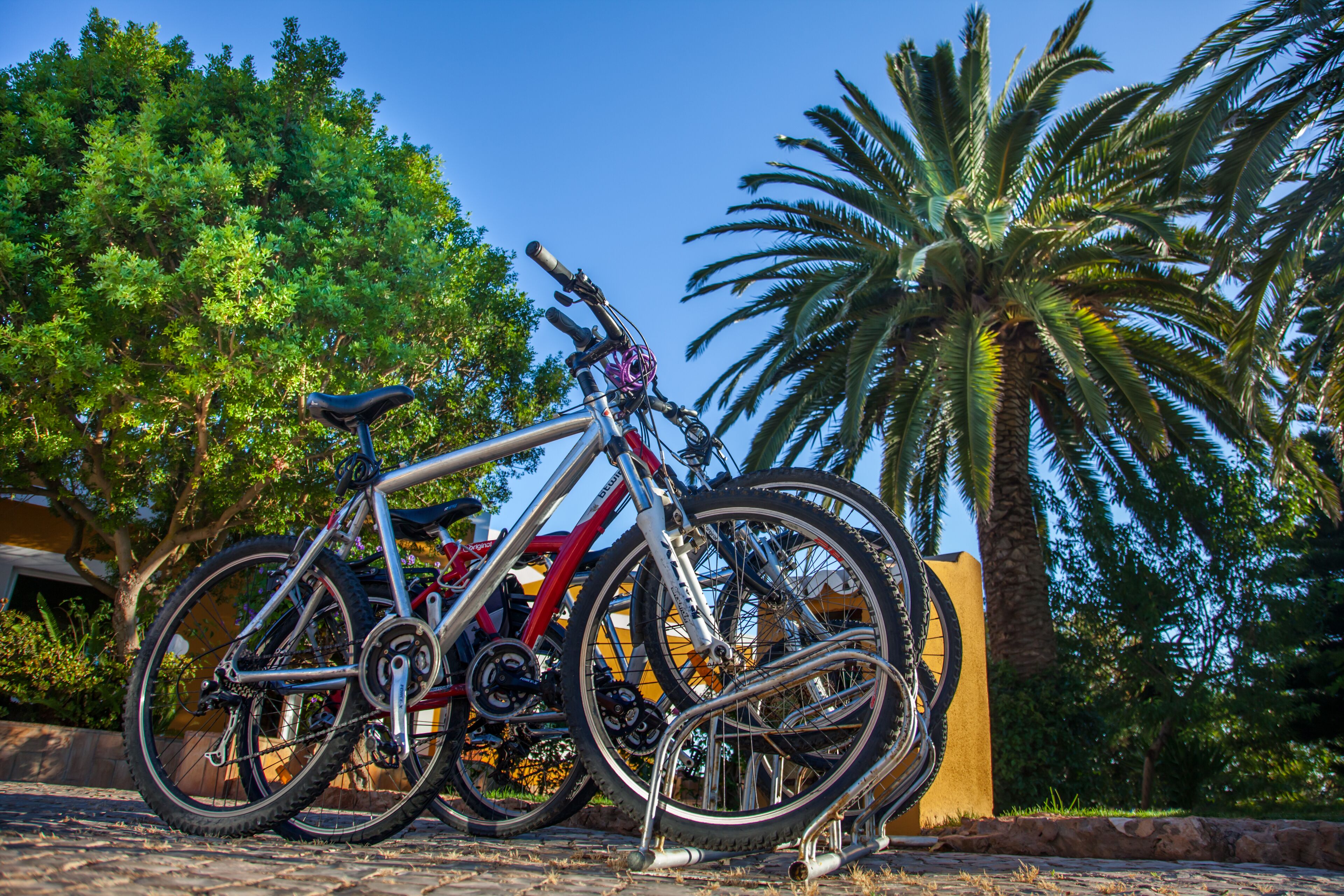 Foto - Montinho De Ouro