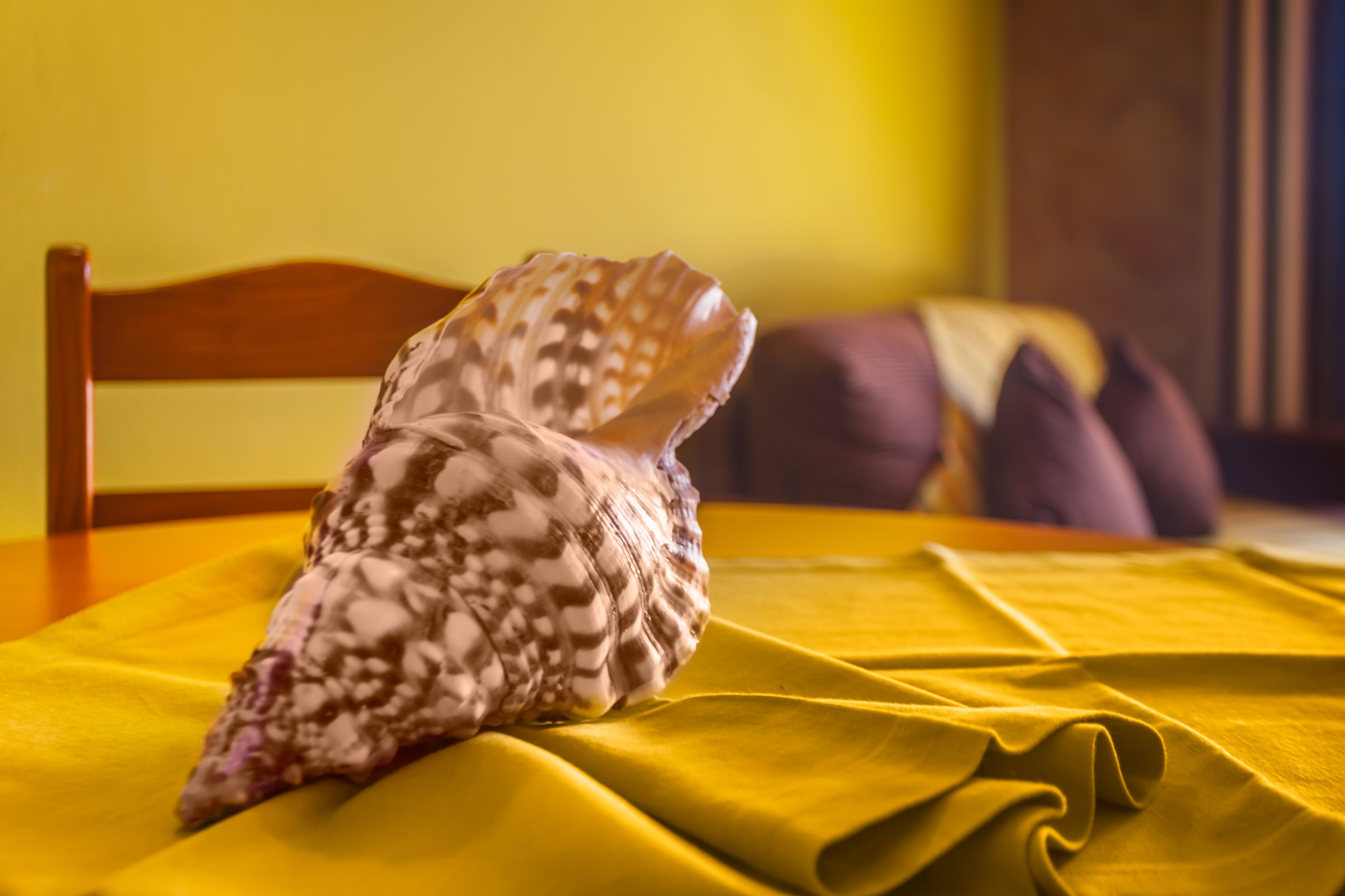 Photo - Montinho De Ouro