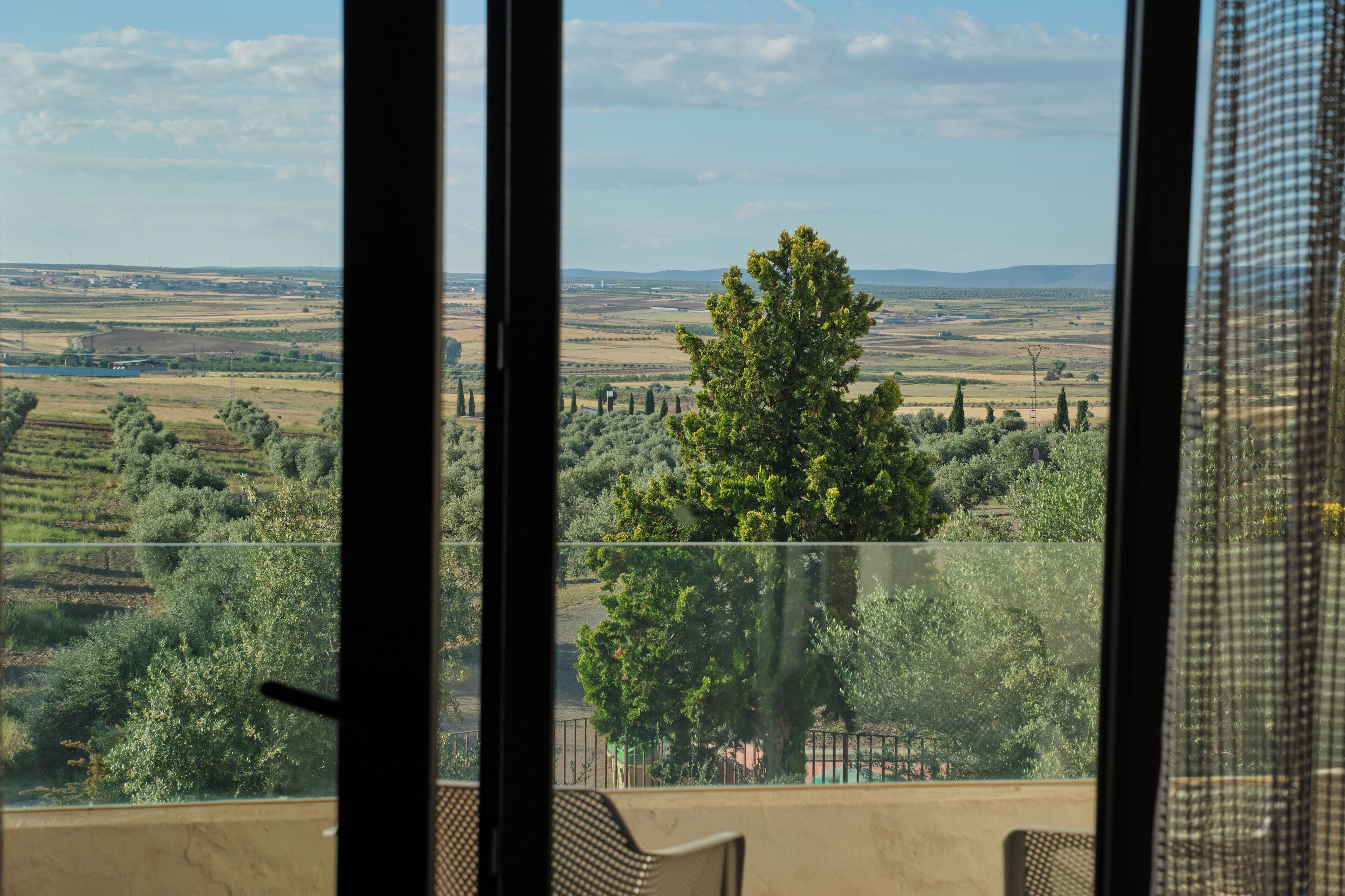 A view from a balcony with a clear sky, distant hills, and a prominent tree.