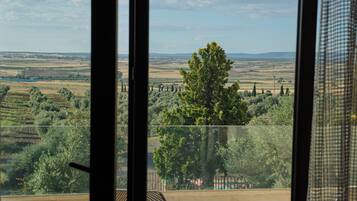 A view from a balcony with a clear sky, distant hills, and a prominent tree.