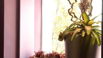 A corner room with a large potted plant, a plush armchair, and a window with a view of trees.