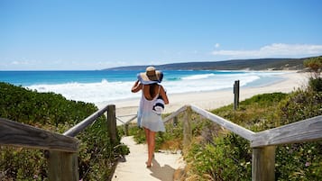Plage, sable blanc, surf