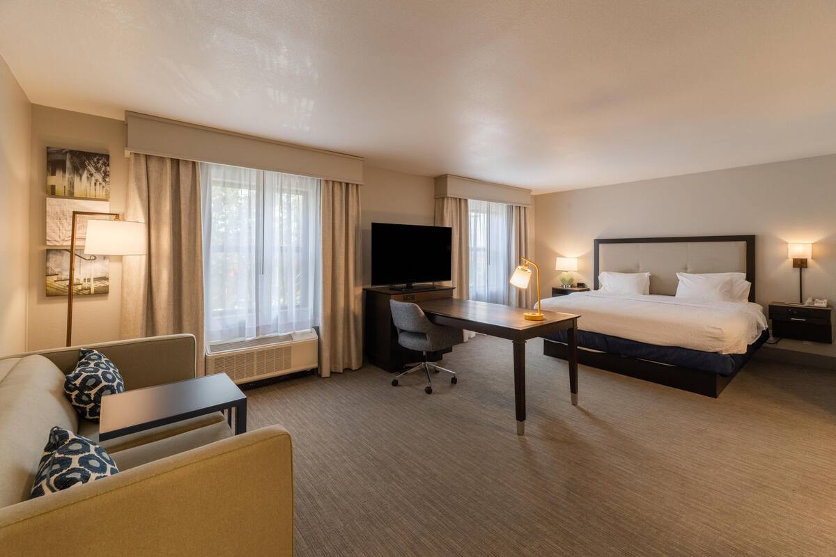 A hotel room with a bed, desk, chair, TV, and windows with curtains.