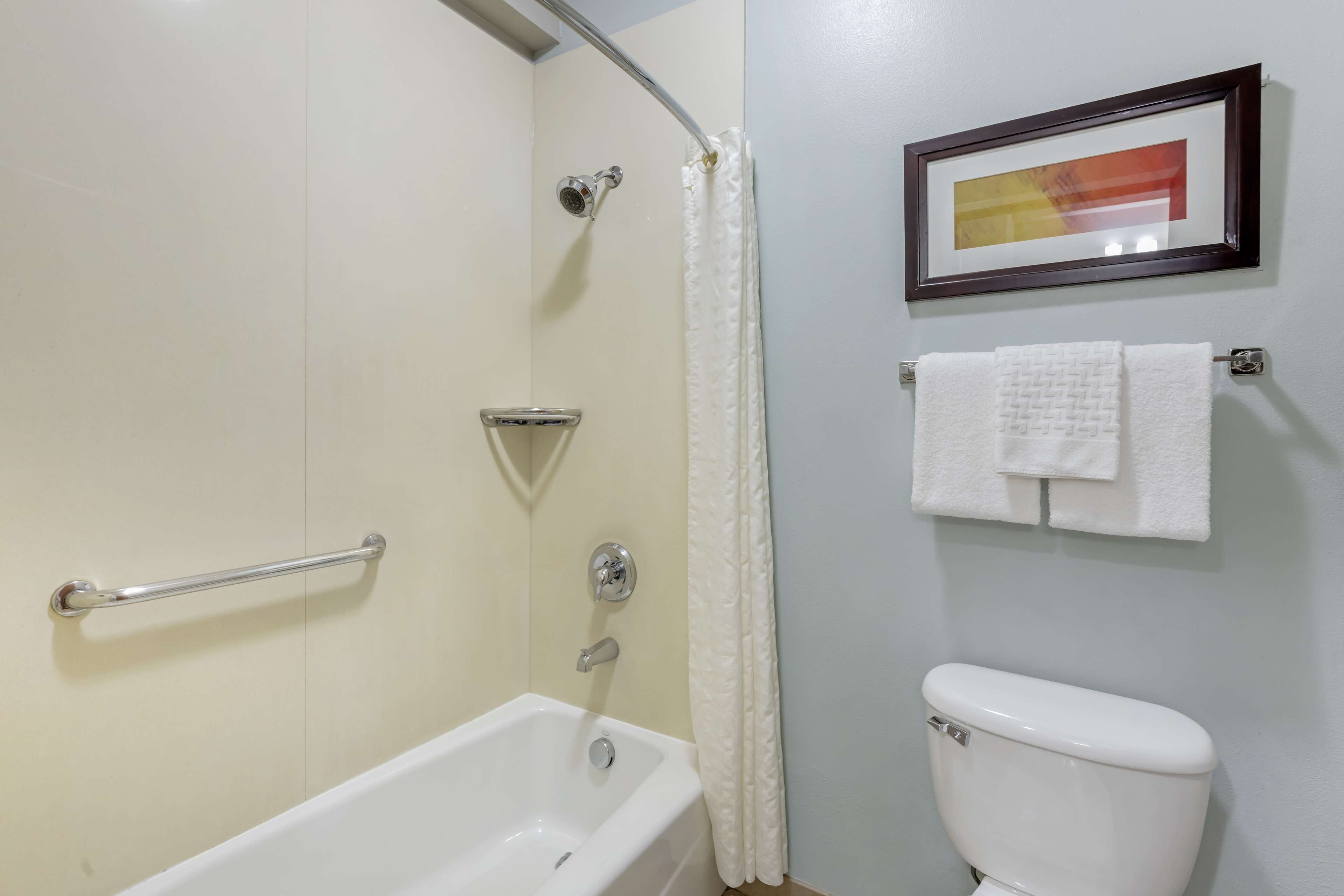 standard room, 1 king bed, accessible, bathtub | bathroom | free toiletries, hair dryer, towels, soap