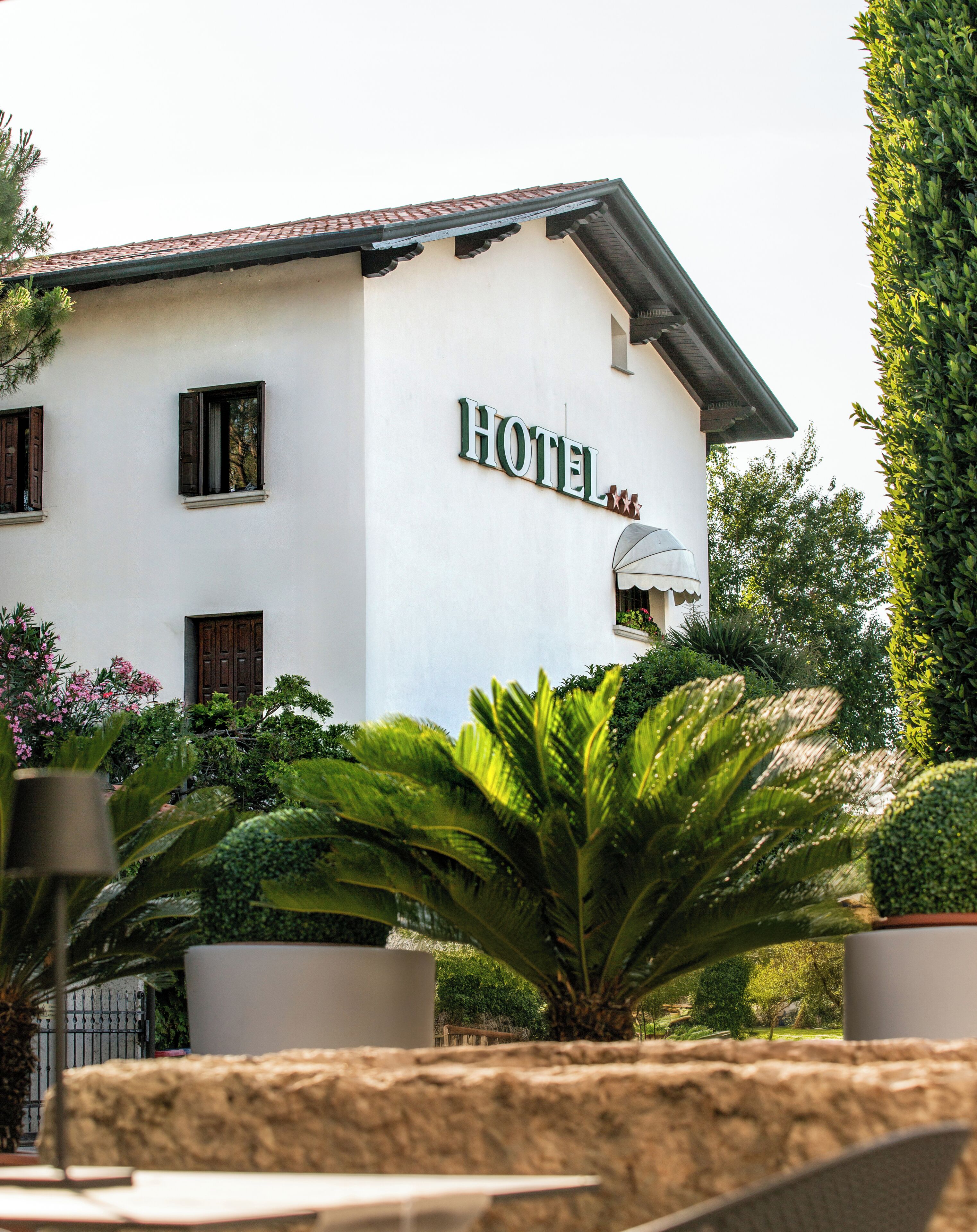 A hotel building with a sign that reads 'HOTEL' and a large potted plant in the foreground.