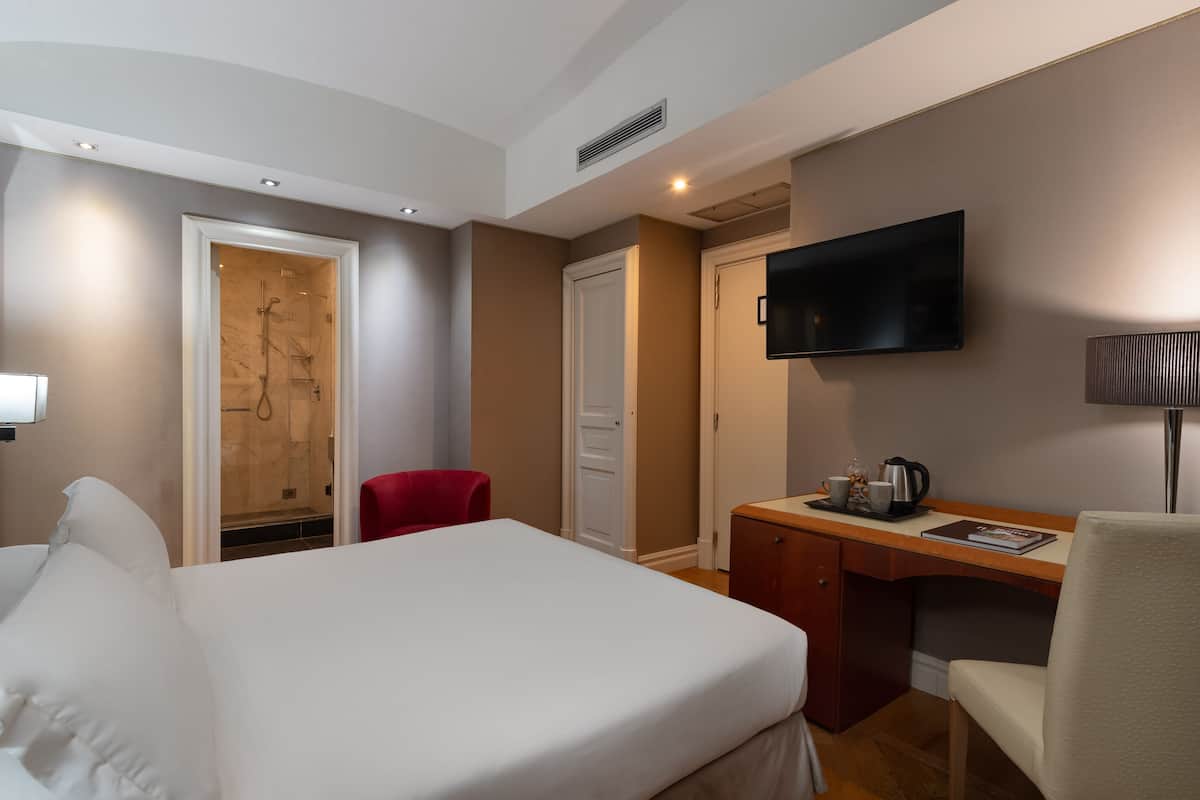 Habitación de hotel con cama, escritorio, televisor y zona de ducha.