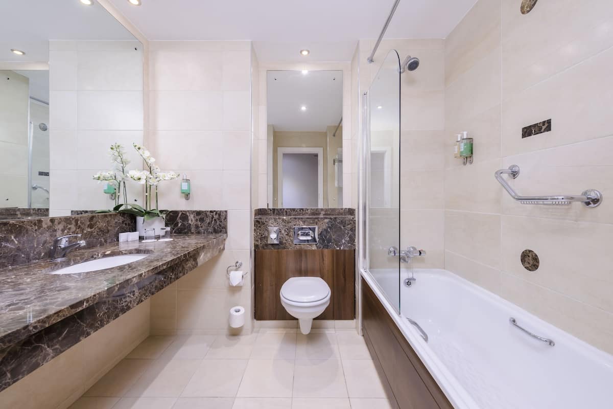 combined shower/bathtub, free toiletries, hair dryer, towels