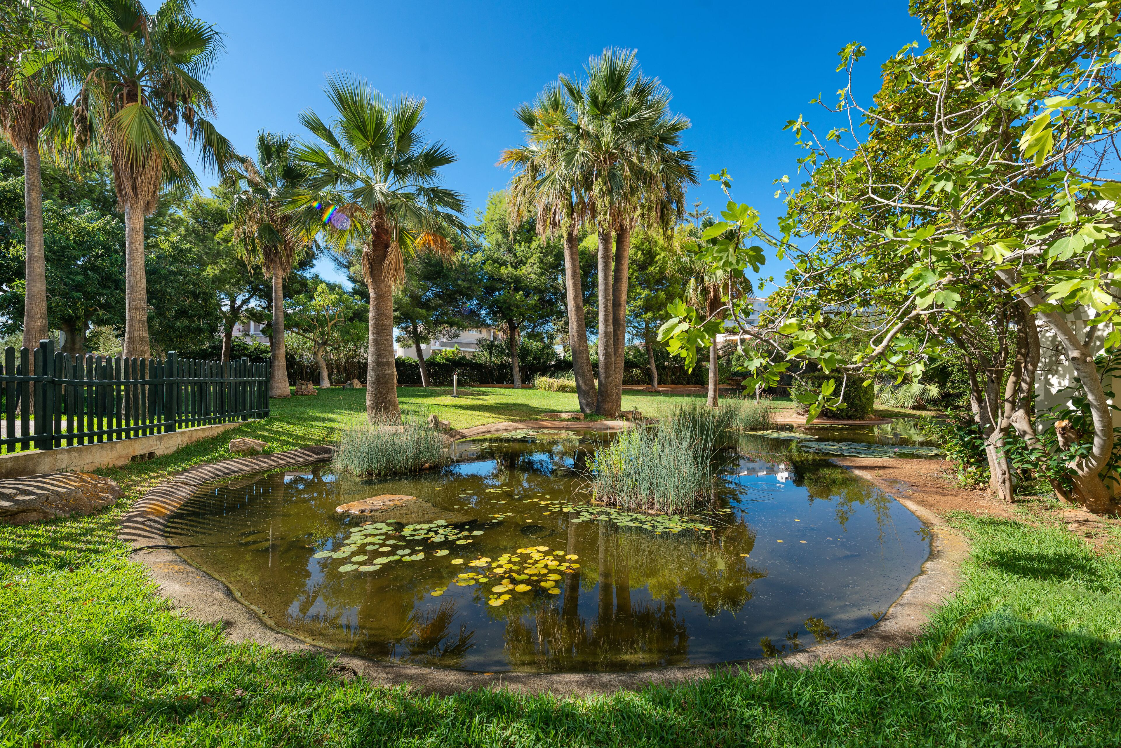 Foto - Welikehotel Marfil Playa