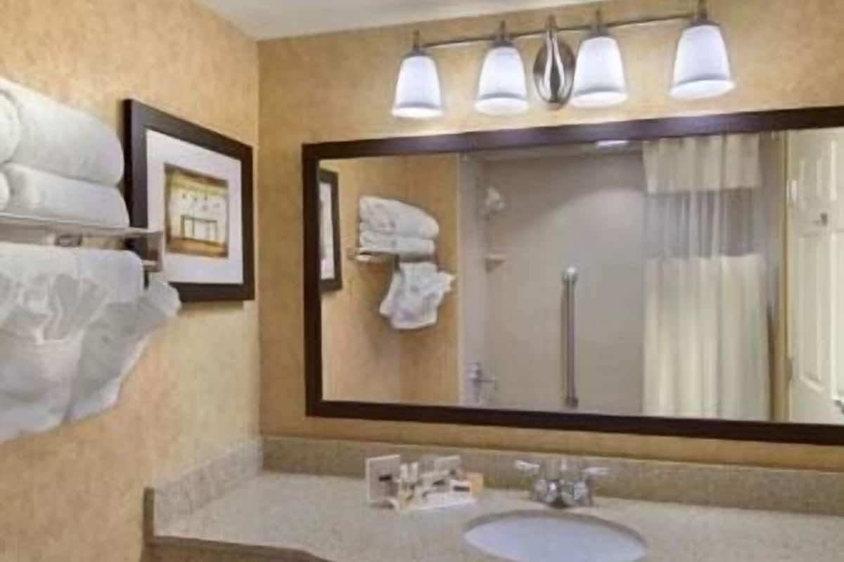 combined shower/bathtub, free toiletries, hair dryer, towels