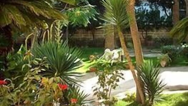 Property grounds - Aedes Resort (Lecce)