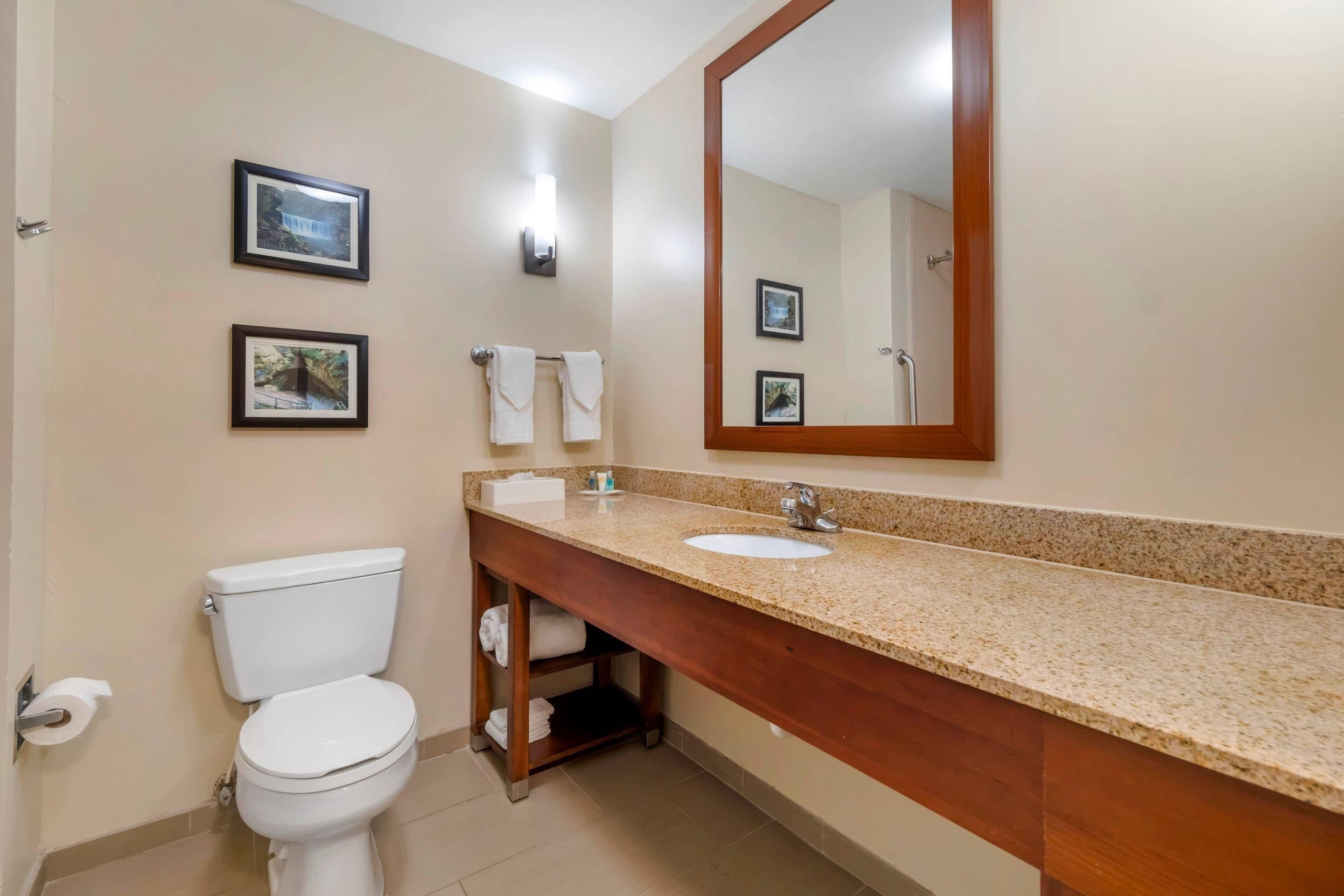 A bathroom with a toilet, sink, and mirror. There are framed pictures on the wall and a towel rack with towels.