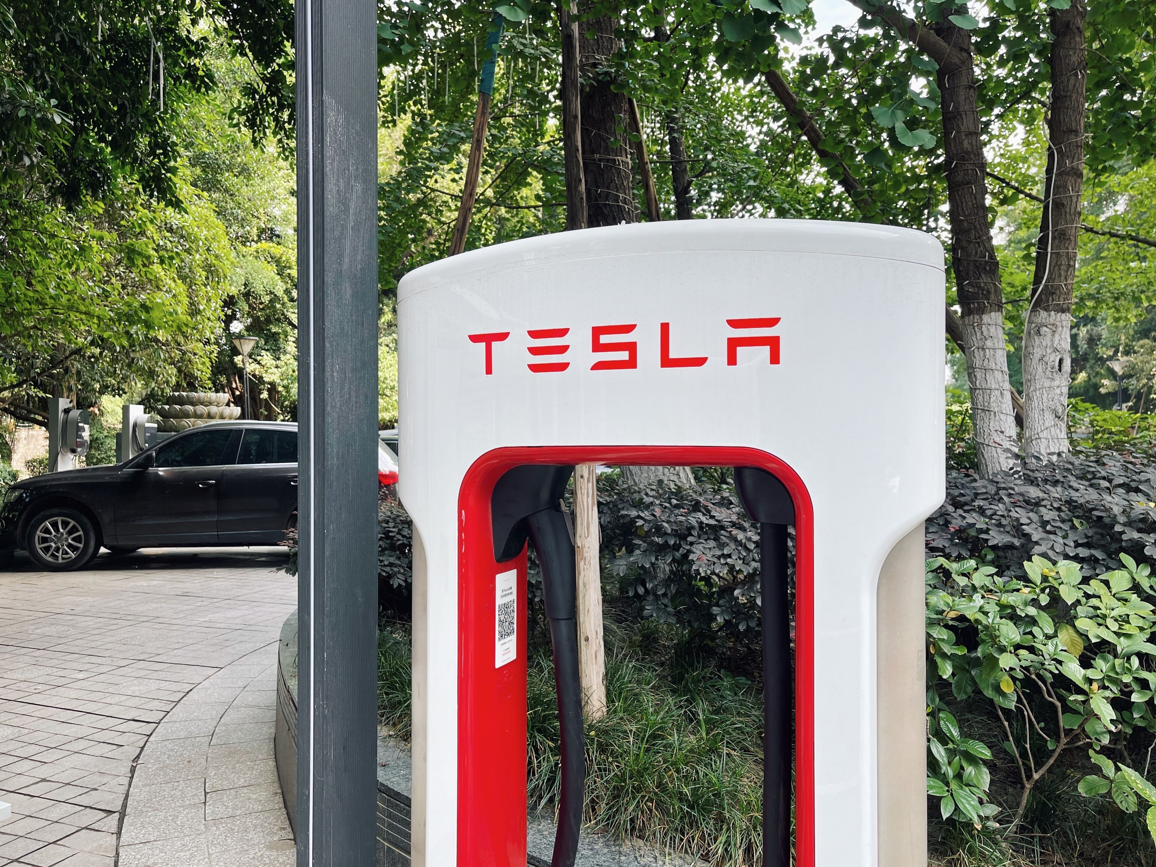 self-parking (surcharge) 50 per day