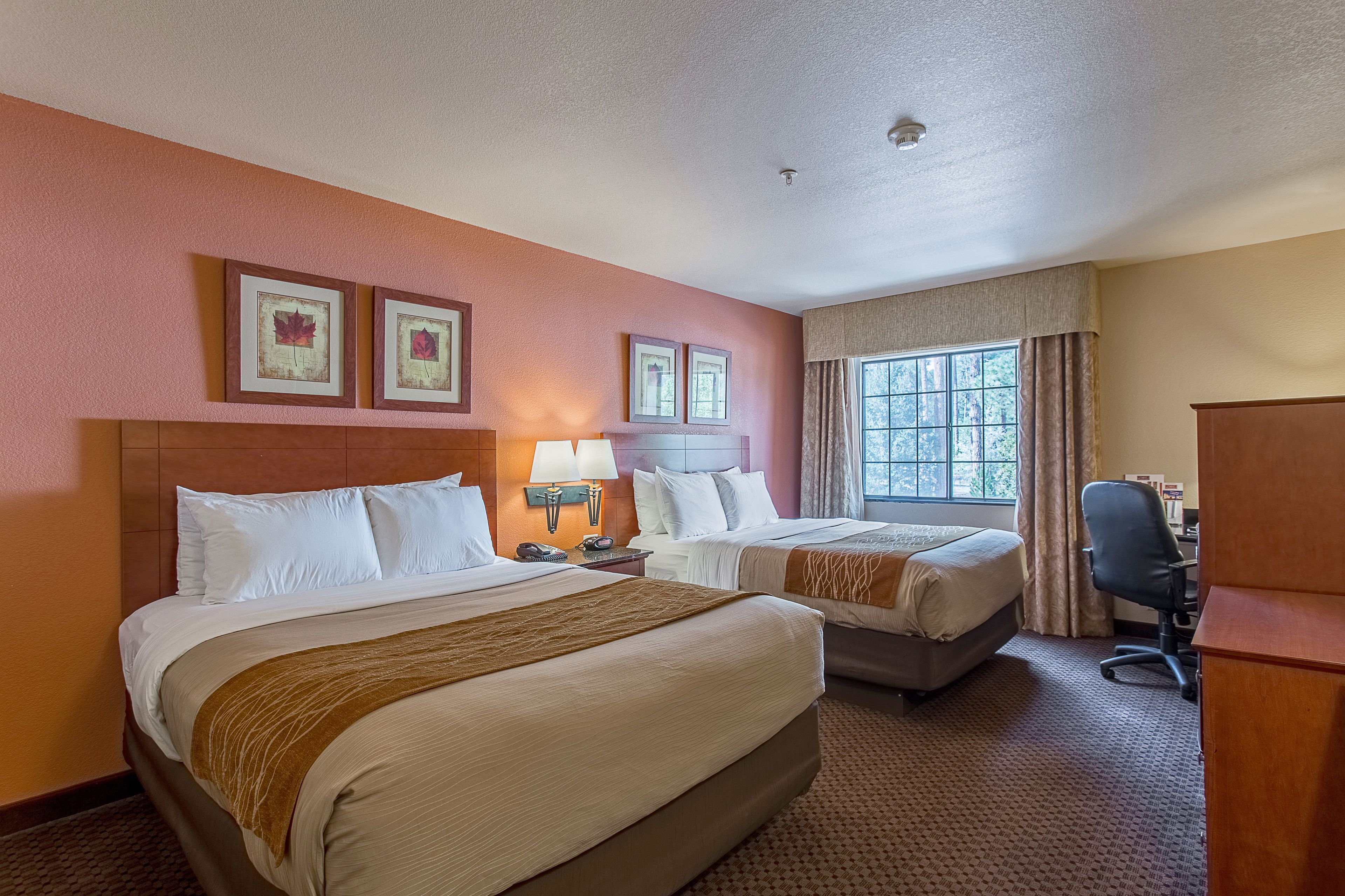 Premium bedding, pillow-top beds, desk, laptop workspace