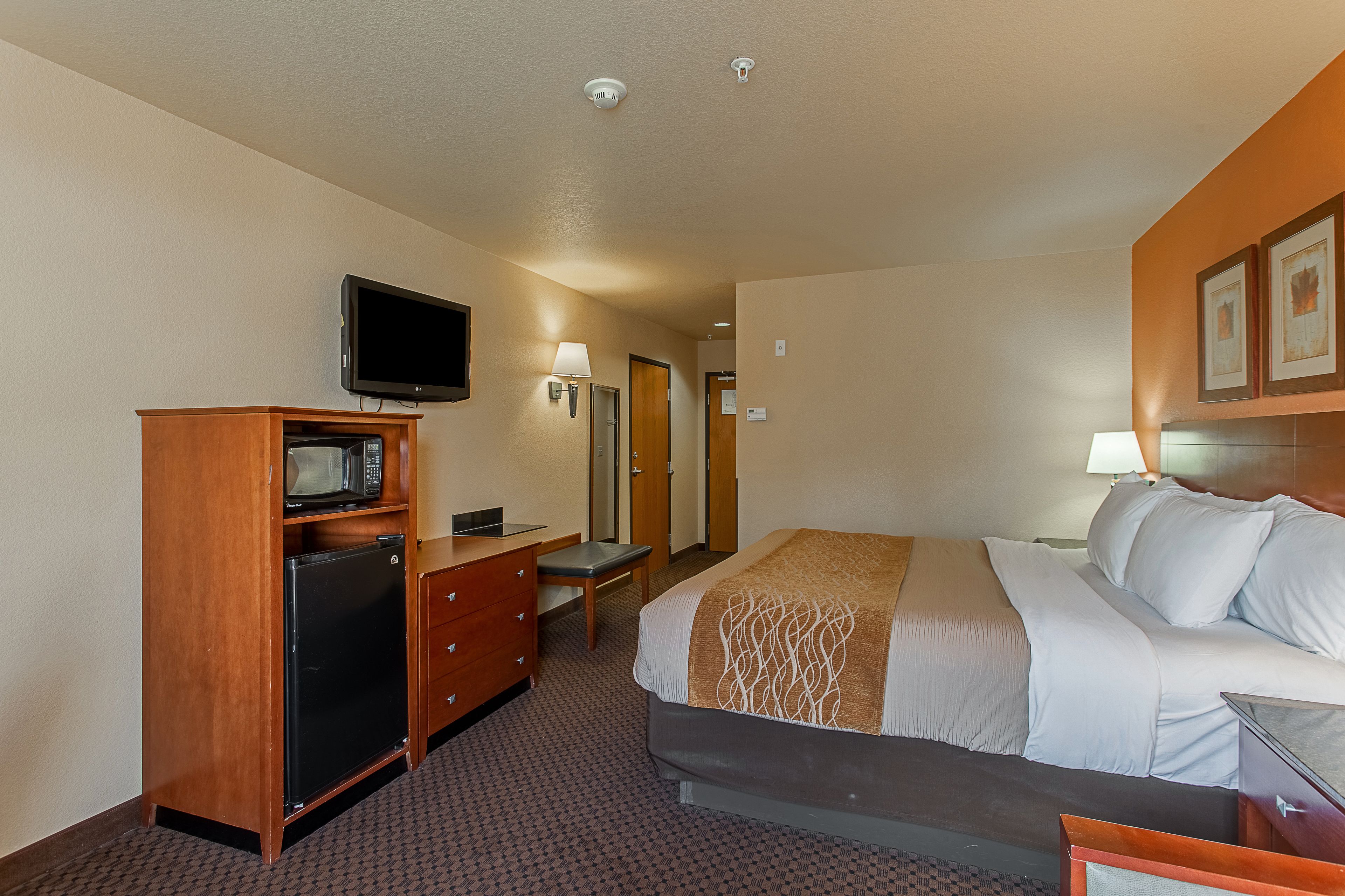 A hotel room with a bed, a desk, a television, a refrigerator, and a lamp.