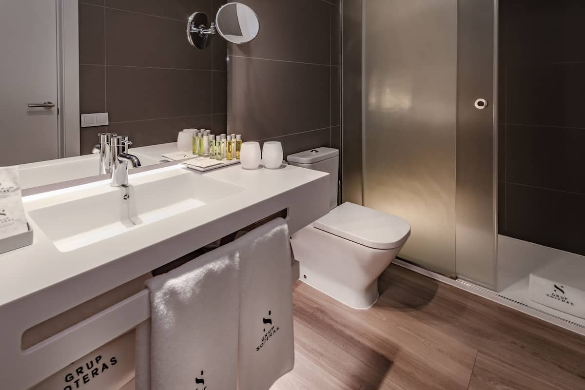 shower, free toiletries, hair dryer, towels