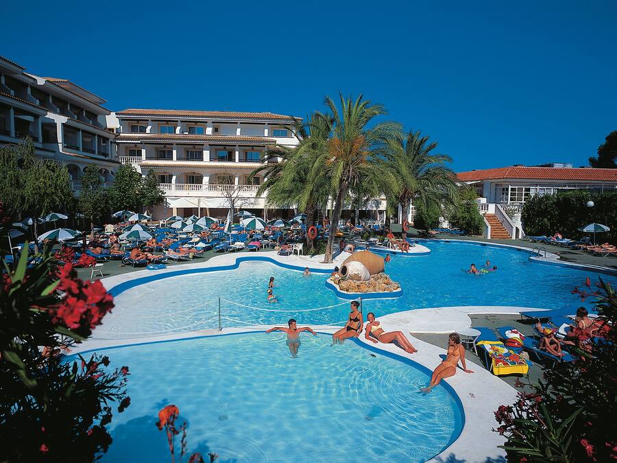 A large outdoor swimming pool with multiple lanes, surrounded by palm trees and lounge chairs.