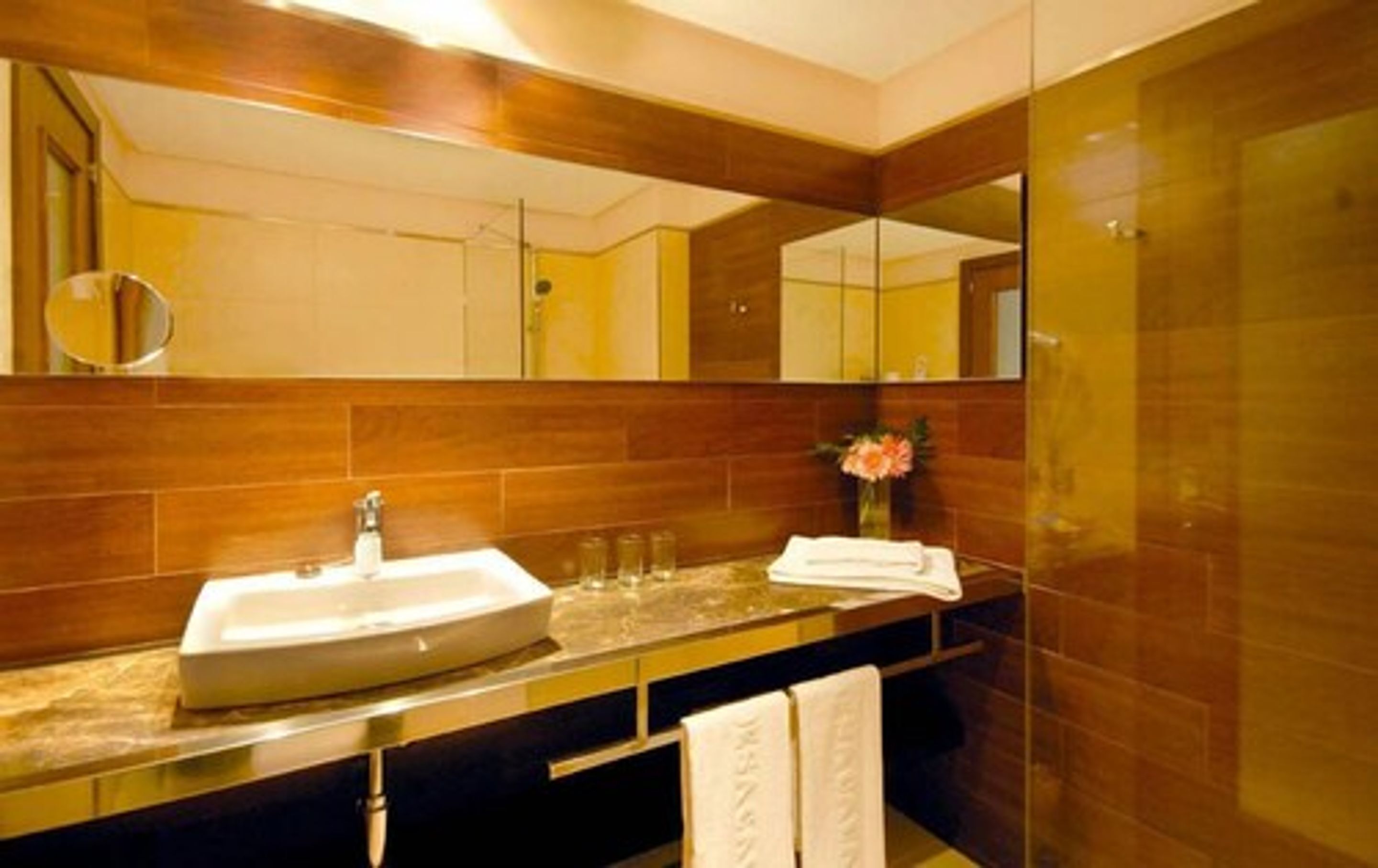 combined shower/bathtub, free toiletries, hair dryer, towels