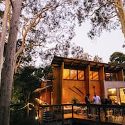 Paperbark Camp