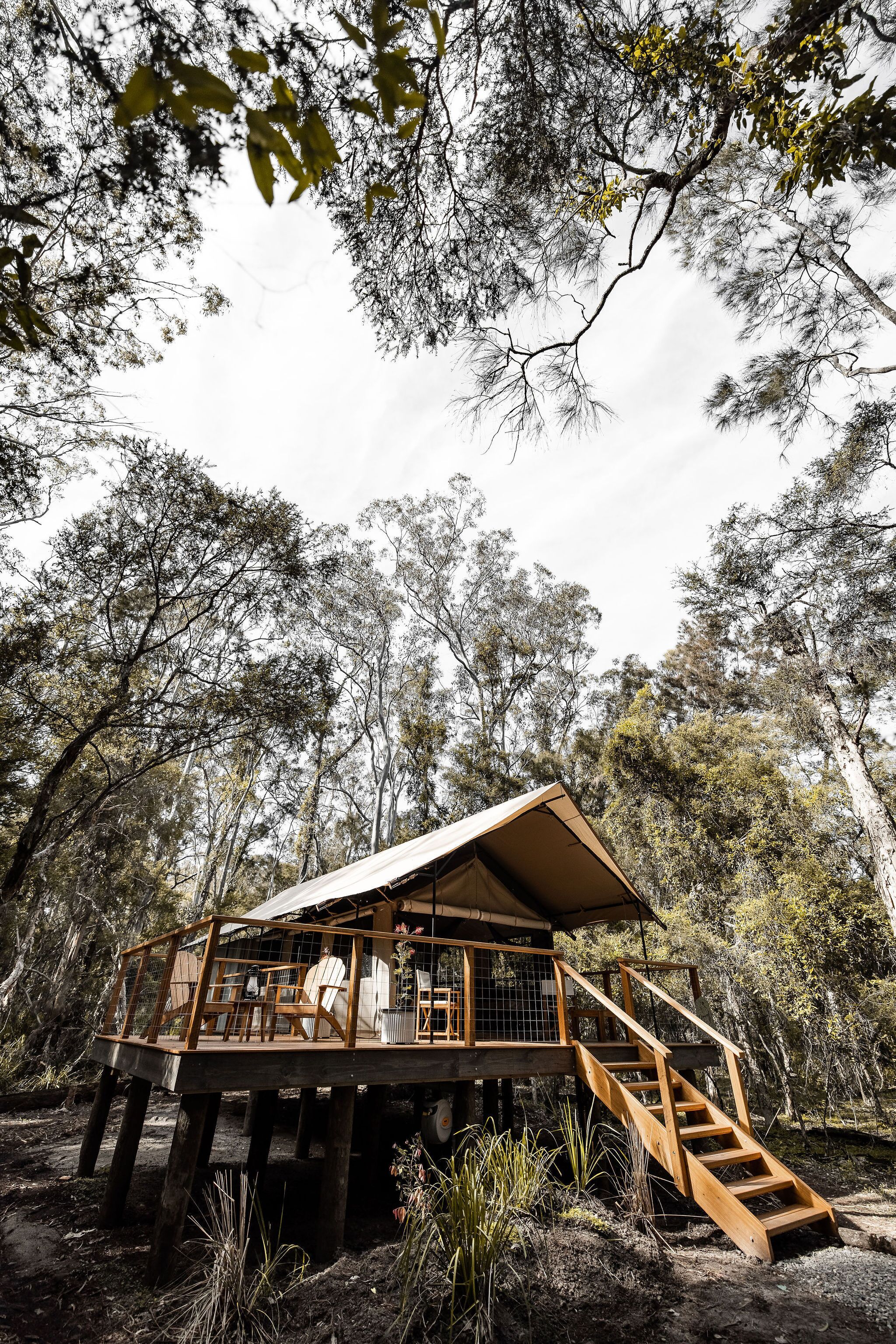 A wooden cabin with a balcony and a staircase, surrounded by trees.