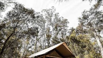 A wooden cabin with a balcony and a staircase, surrounded by trees.