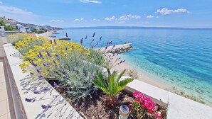 Una terraza costera con vista despejada al mar, con diversos tipos de plantas florecientes y una pequeña formación rocosa.