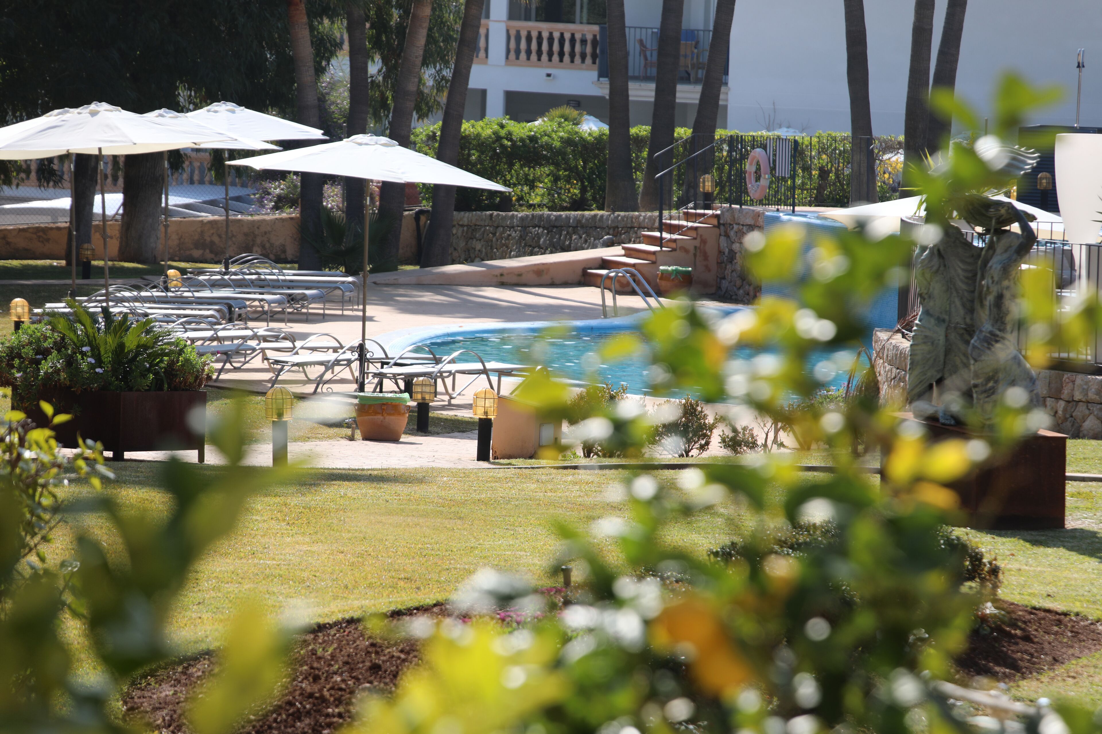 A pool area with lounge chairs and umbrellas, surrounded by palm trees and a stone wall.