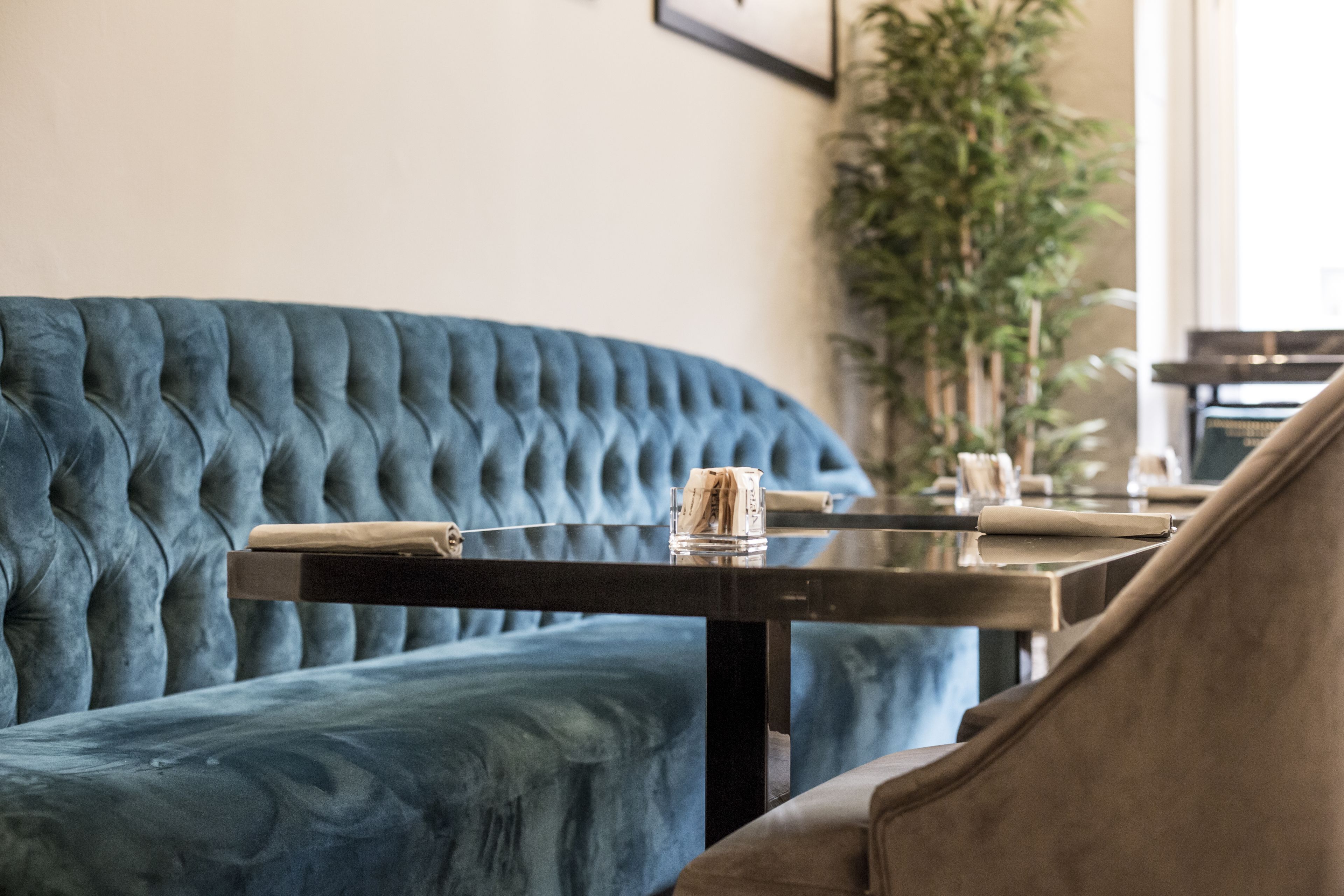 Un canapé bleu recouvert de tissu, une table basse en verre avec un livre et une télécommande, et un fauteuil marron dans un salon moderne agrémenté d’une grande plante et d’un tableau encadré au mur.