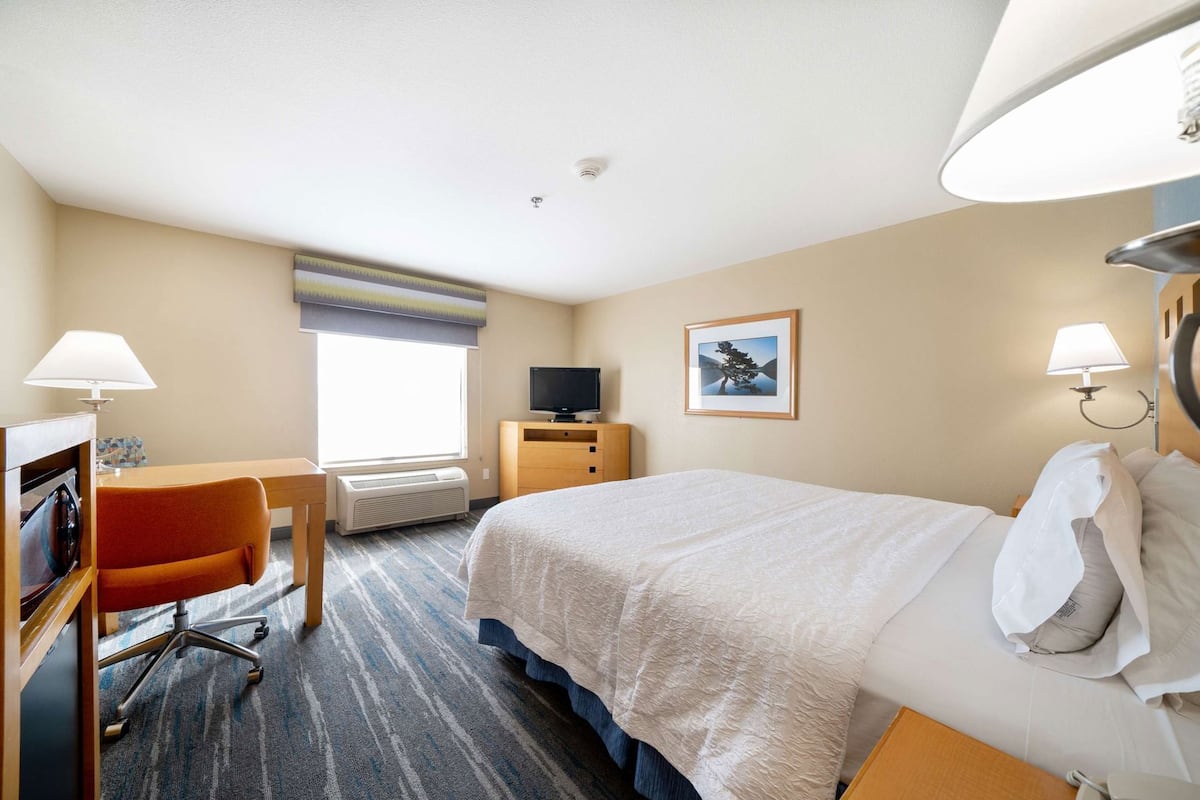 Habitación de hotel con cama, escritorio, silla, televisión y ventana con persianas.