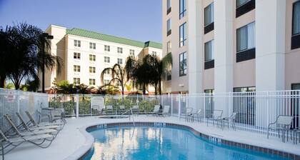Springhill Suites by Marriott Tampa Brandon