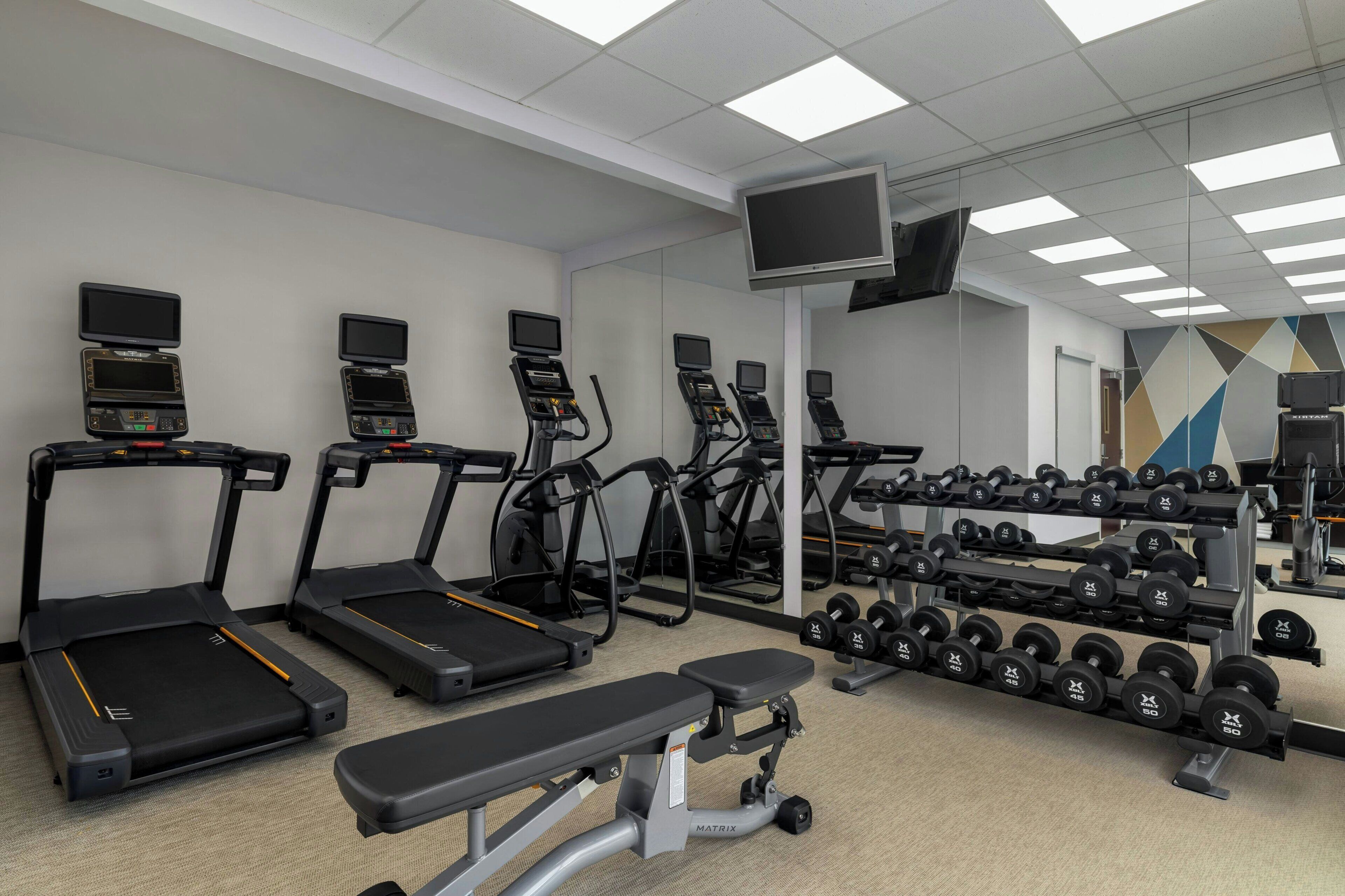 A gym with treadmills, elliptical machines, a bench, and a rack of dumbbells.