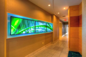 Servicio de la propiedad