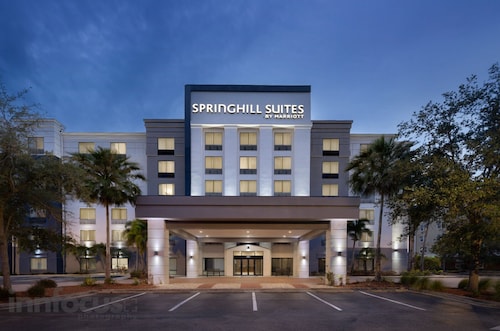 Springhill Suites by Marriott Tampa Brandon