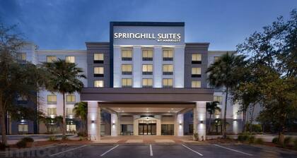 Springhill Suites by Marriott Tampa Brandon
