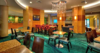 Springhill Suites by Marriott Tampa Brandon