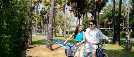 A pathway with bicycles, surrounded by palm trees and greenery.