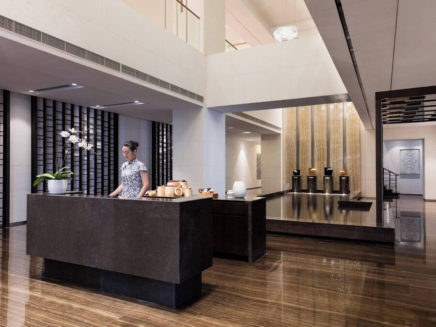 Un área de recepción moderna con un mostrador oscuro, una planta en maceta y un jarrón decorativo.